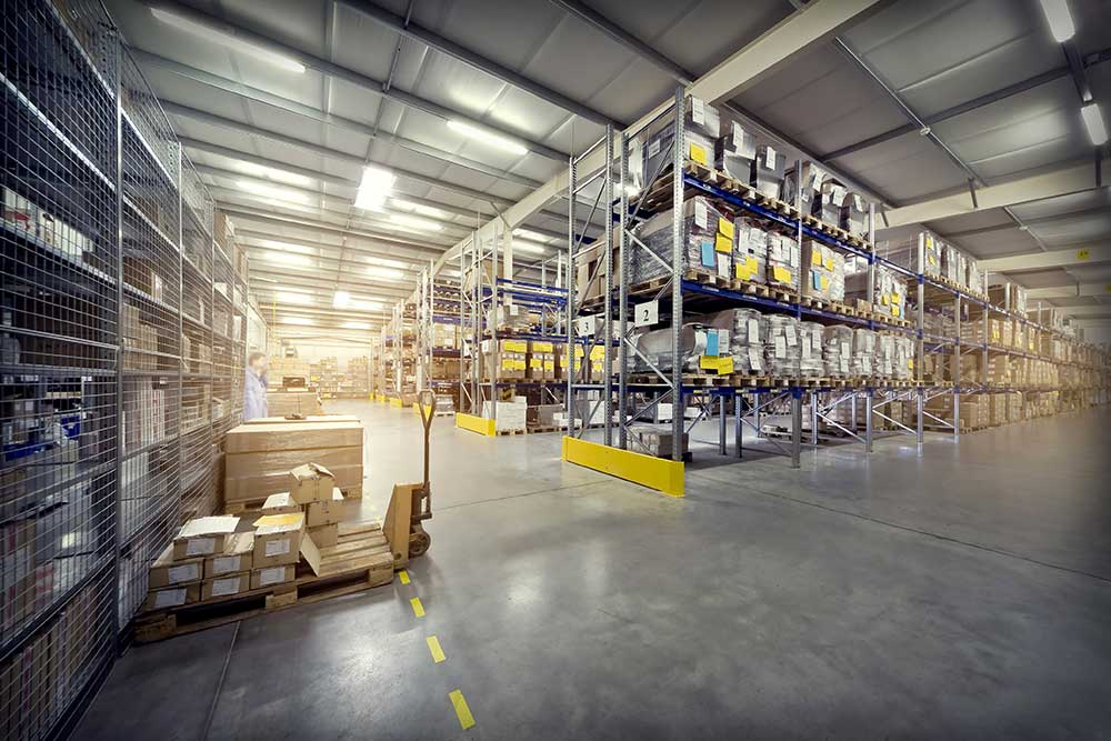 Warehouse Pest Control: 7 Proven Strategies to Protect Your Stock